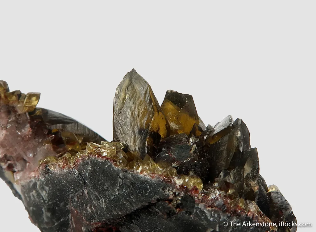 Siderite - rare xls for locality! - image 9