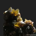 Siderite - rare xls for locality! - image 8