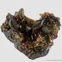 Siderite - rare xls for locality! - image 2