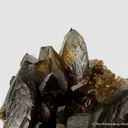 Siderite - rare xls for locality! - image 1