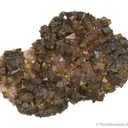 Siderite var. Chalybite - image 3