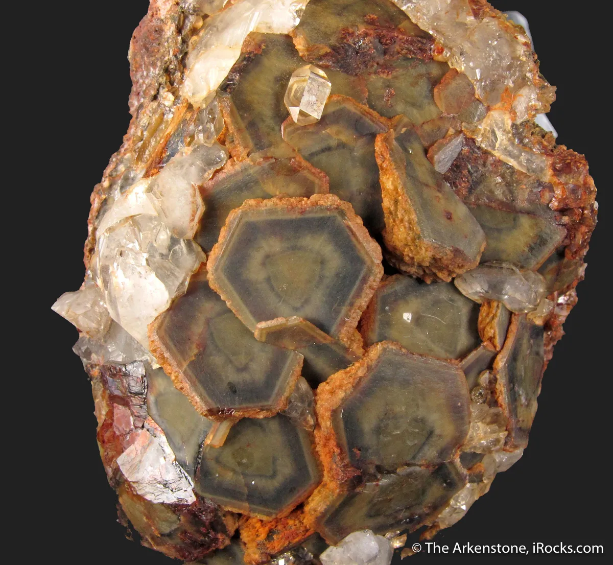Siderite var. Chalybite with Quartz - image 1