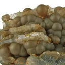 Siderite Var. Sphaerosiderite on Baryte - image 4