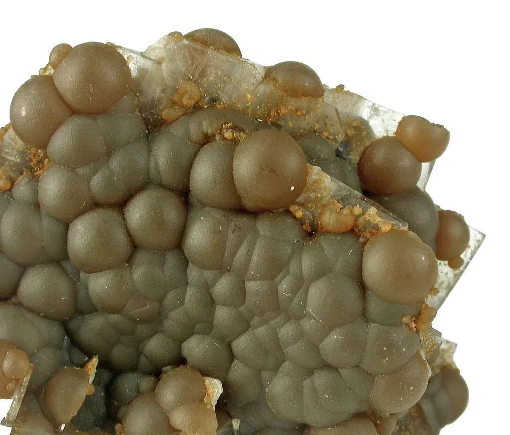 Siderite Var. Sphaerosiderite on Baryte - image 2