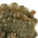 Siderite Var. Sphaerosiderite on Baryte - image 2