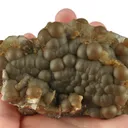 Siderite Var. Sphaerosiderite on Baryte - image 5
