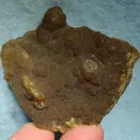 Siderite (Var: Spharosiderite) - image 1