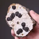 Siderite Var SPHÄROSIDERITE - image 2