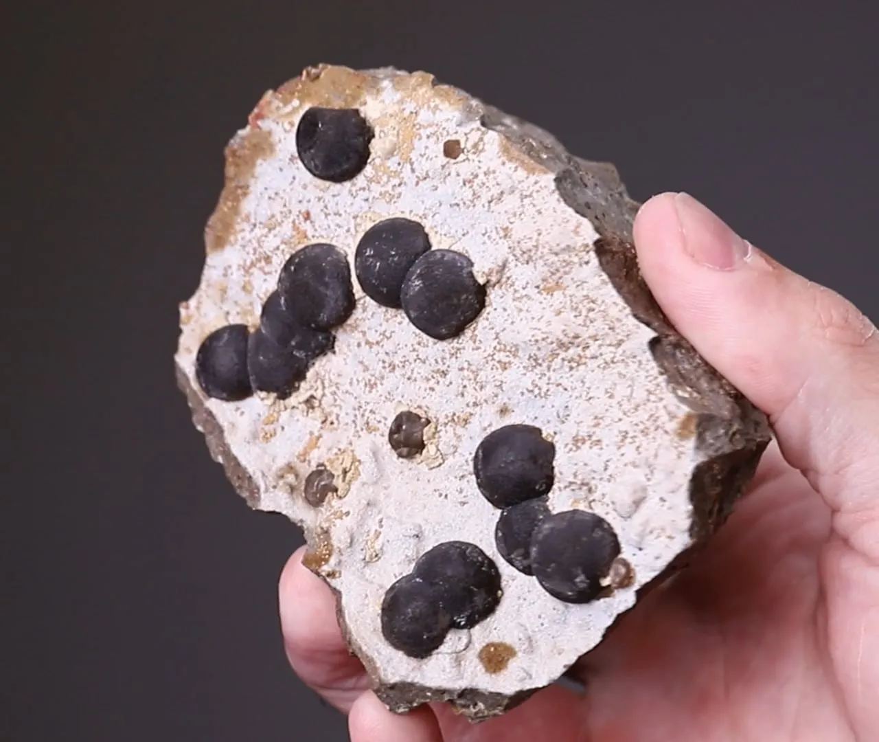 Siderite Var SPHÄROSIDERITE - image 2