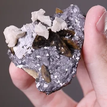 Siderite with Ankerite and Galena