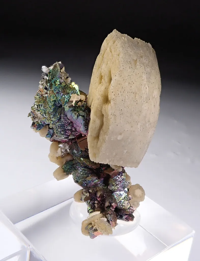 Siderite with Arsenopyrite image