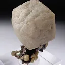 Siderite with Arsenopyrite - image 4