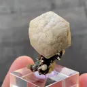 Siderite with Arsenopyrite - image 5