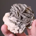 Siderite with Calcite - image 2