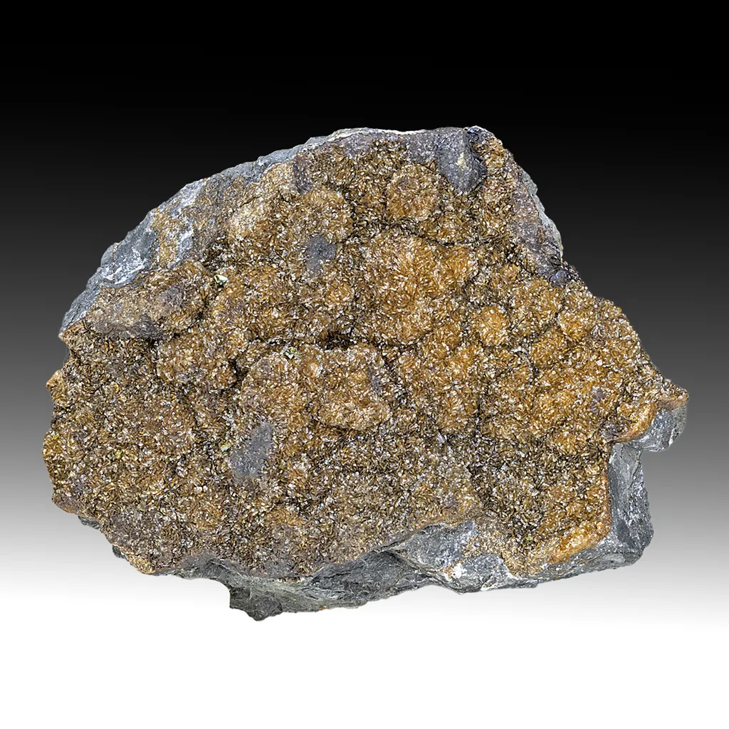 Siderite with Chalcopyrite image