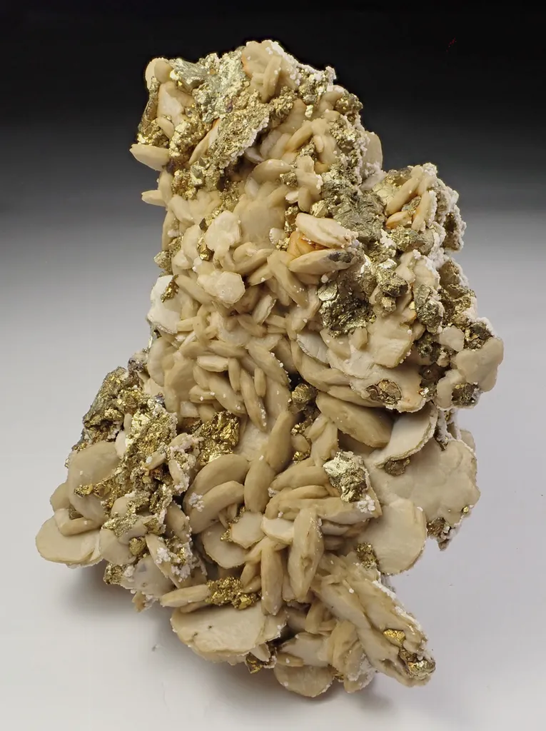 Siderite with Chalcopyrite image