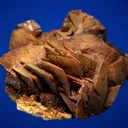 Siderite with Chalcopyrite - image 3