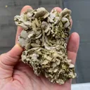 Siderite with Chalcopyrite - image 5