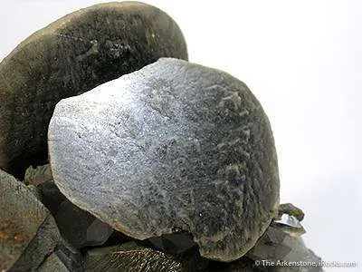 Siderite With Chalcopyrite (Huge Xls!) - image 3