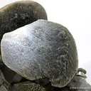 Siderite With Chalcopyrite (Huge Xls!) - image 3