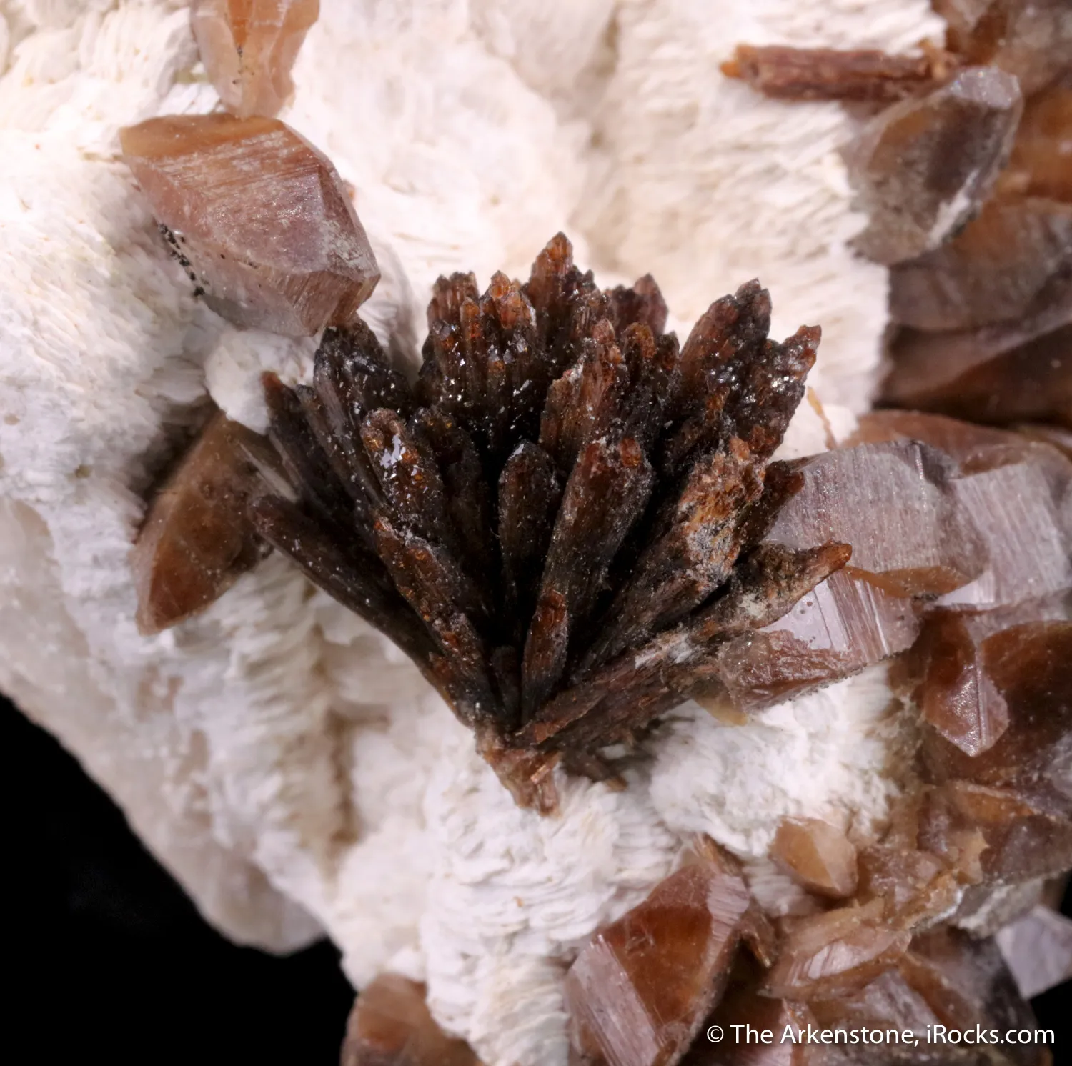 Siderite with Eosphorite on Albite - image 4