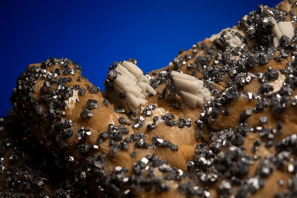 Siderite with Galena and Barite - image 2