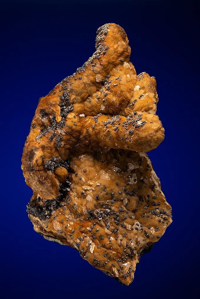 Siderite with Galena image