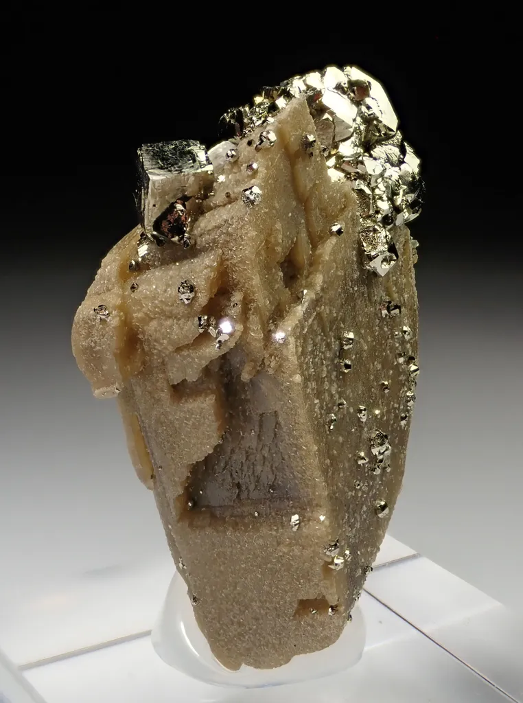 Siderite with Pyrite image