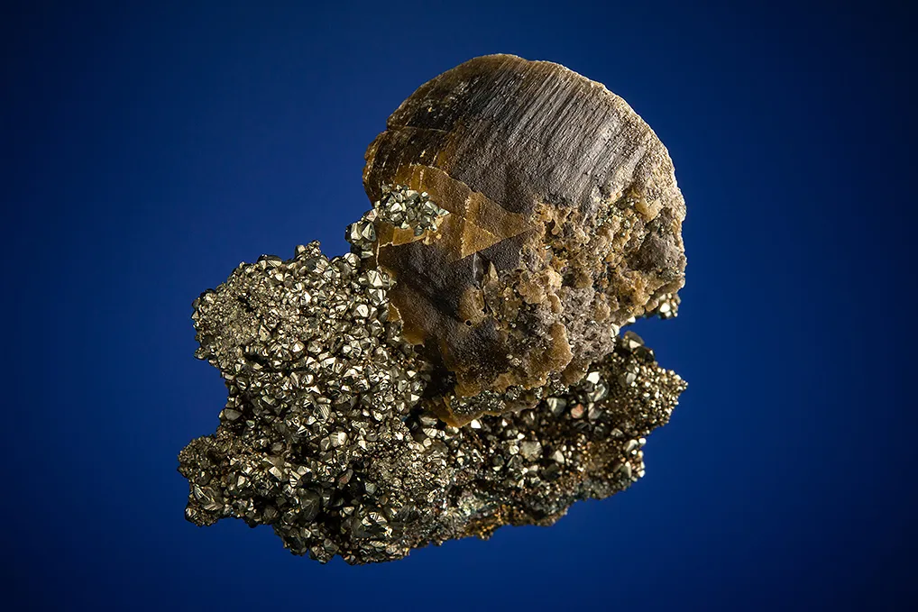 Siderite with Pyrite image