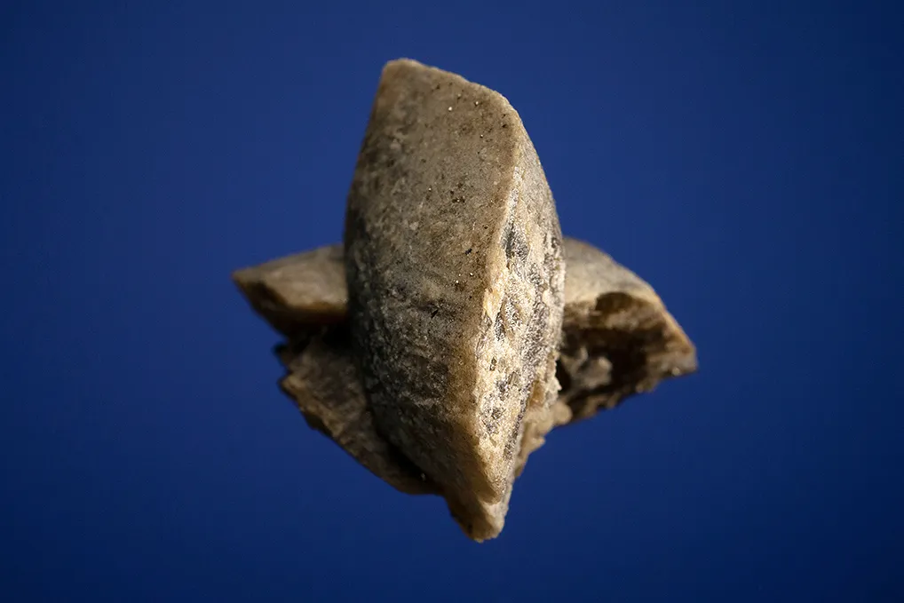 Siderite with Pyrite - image 4