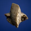 Siderite with Pyrite - image 4