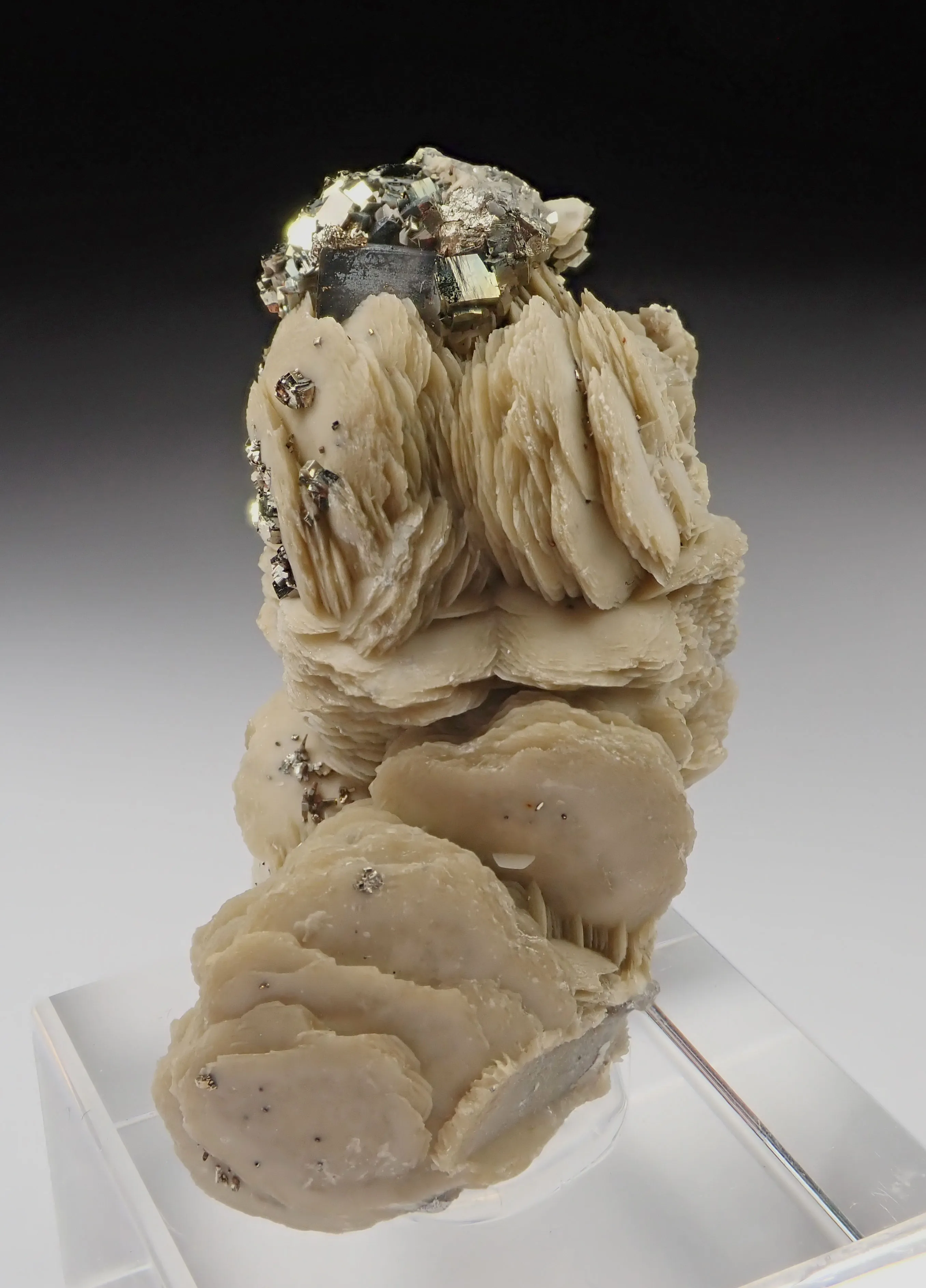 Siderite with Pyrite - image 3