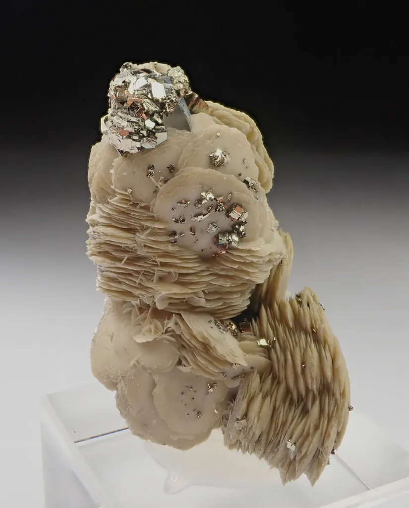 Siderite with Pyrite image