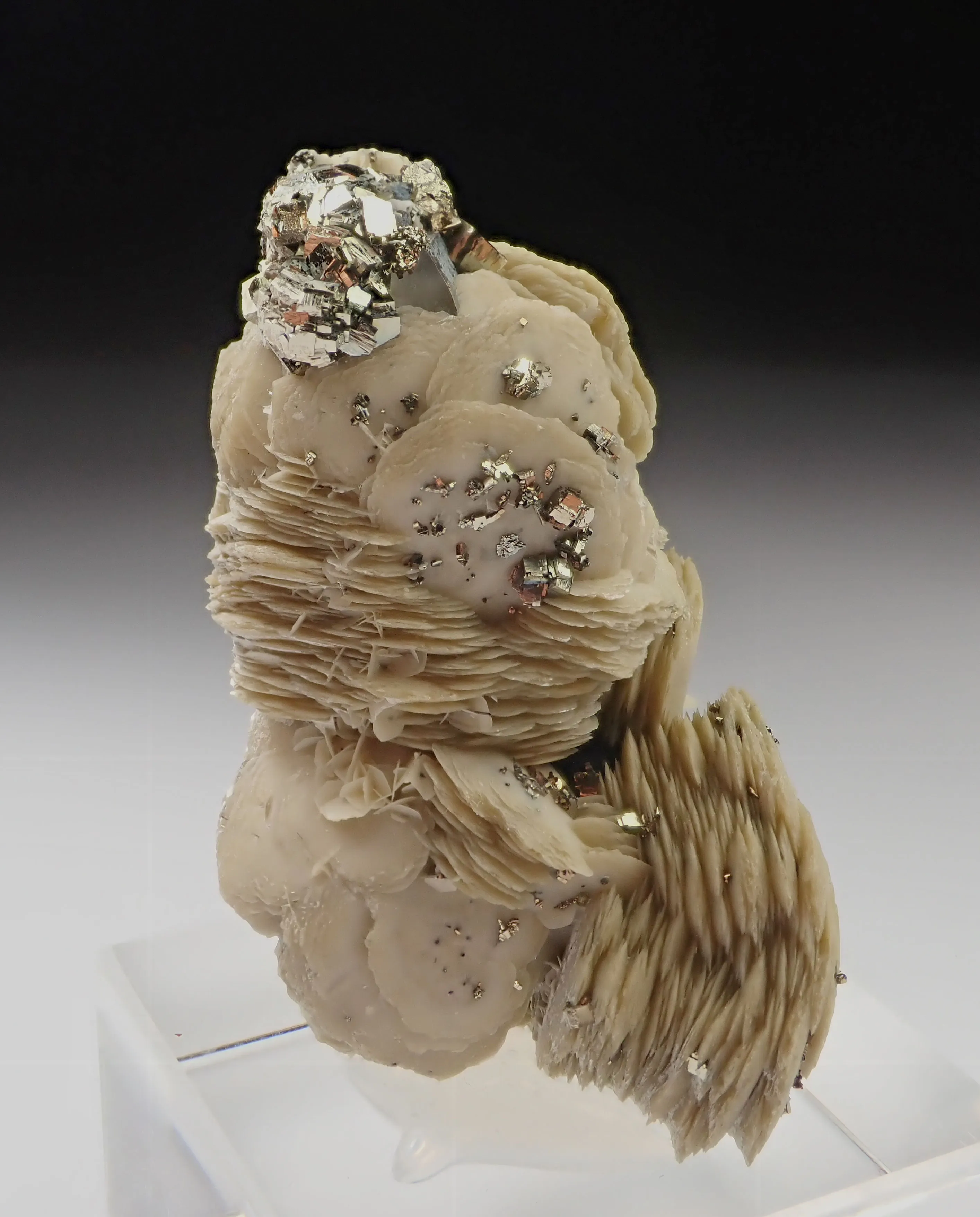 Siderite with Pyrite - image 1