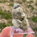 Siderite with Pyrite - image 5