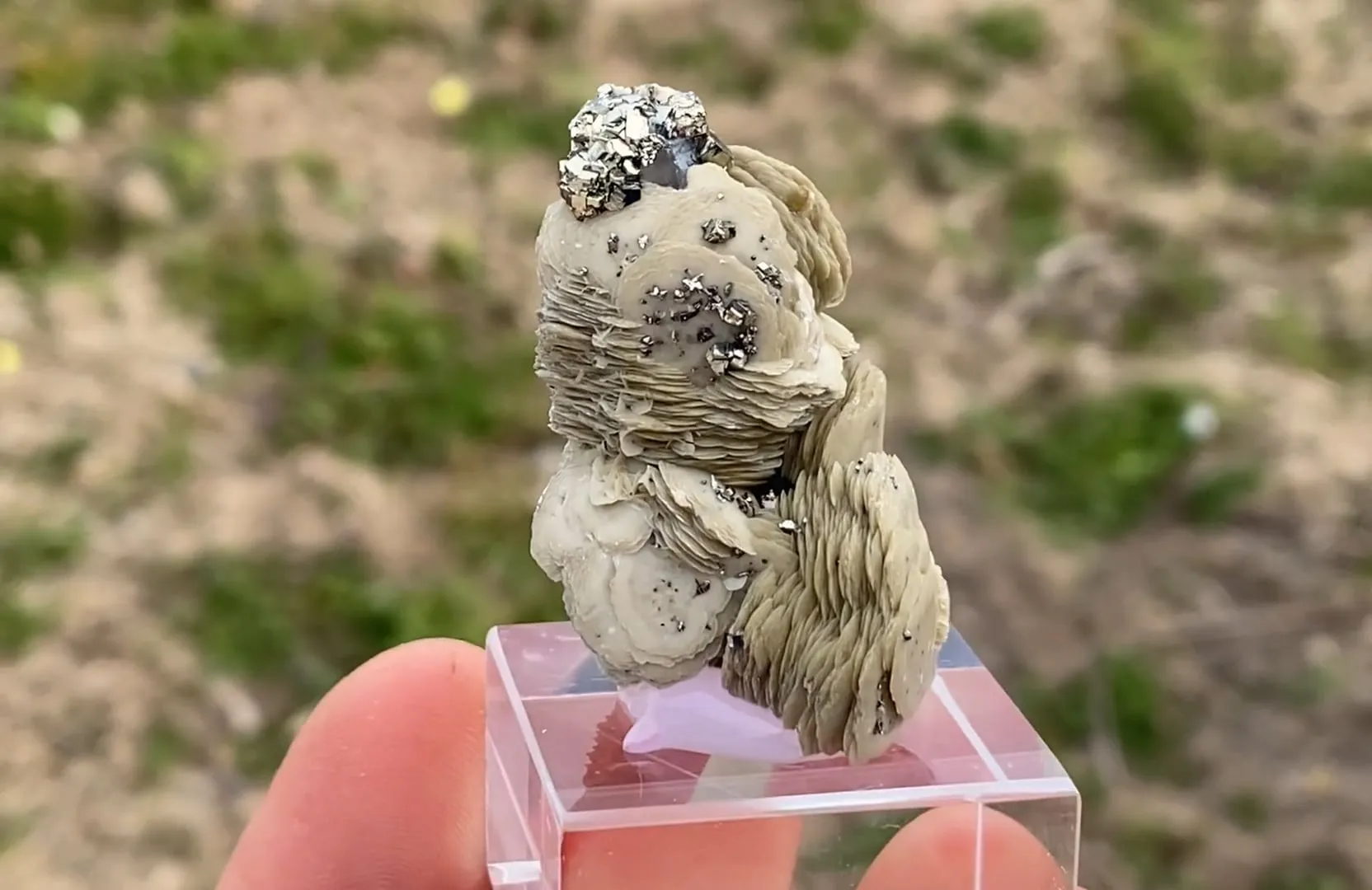 Siderite with Pyrite - image 5