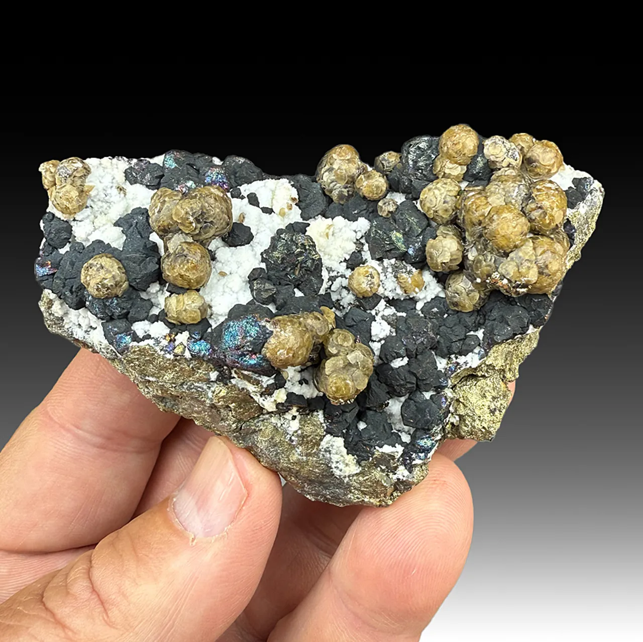 Siderite with Pyrite - image 1