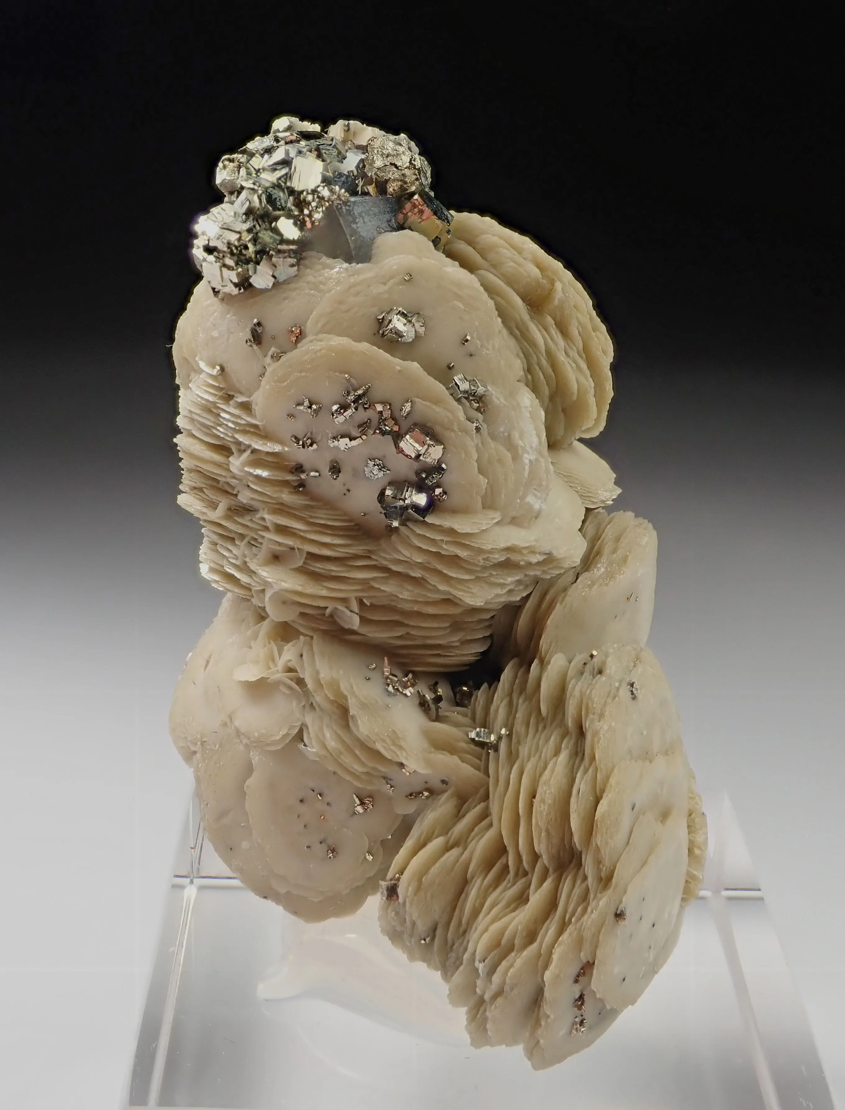 Siderite with Pyrite - image 4