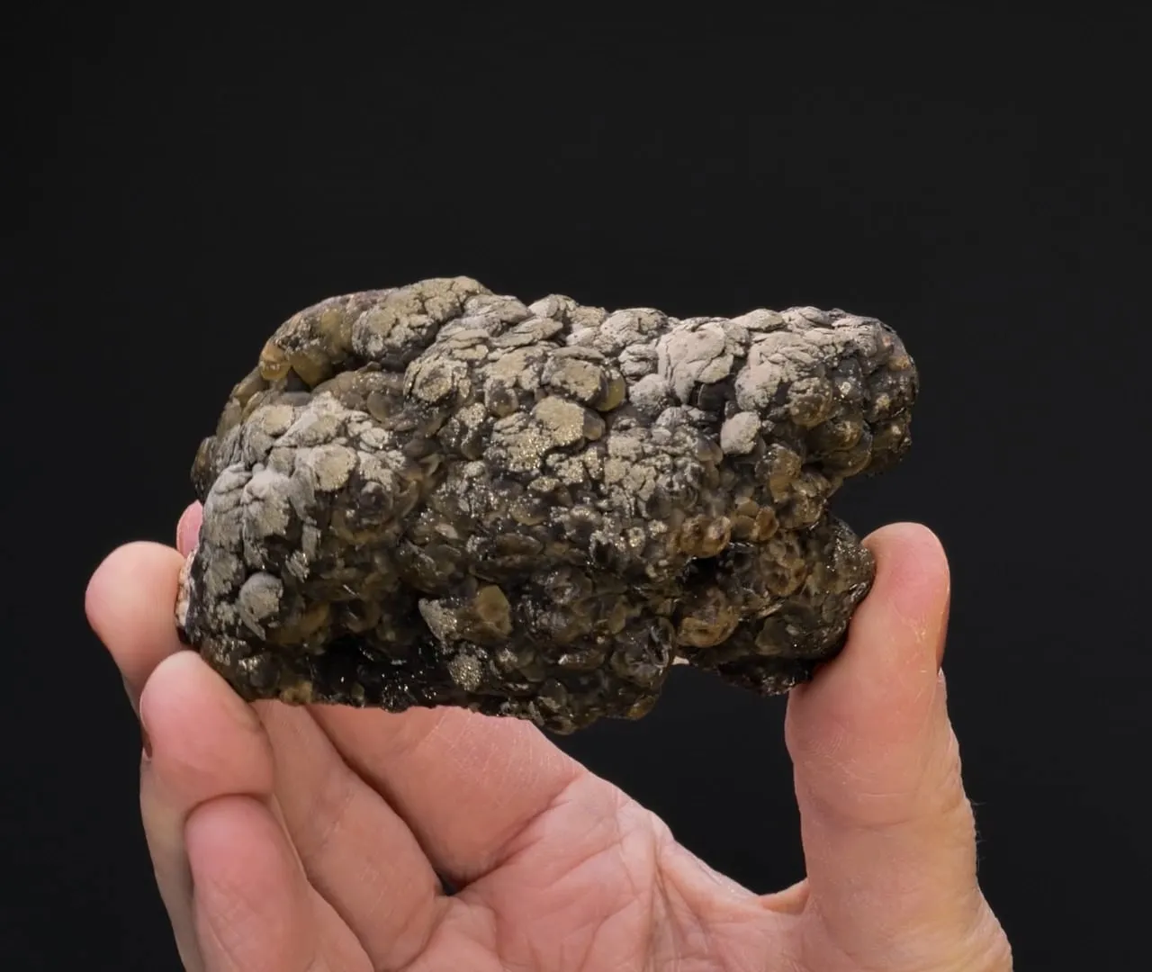 Siderite with Pyrite - image 2