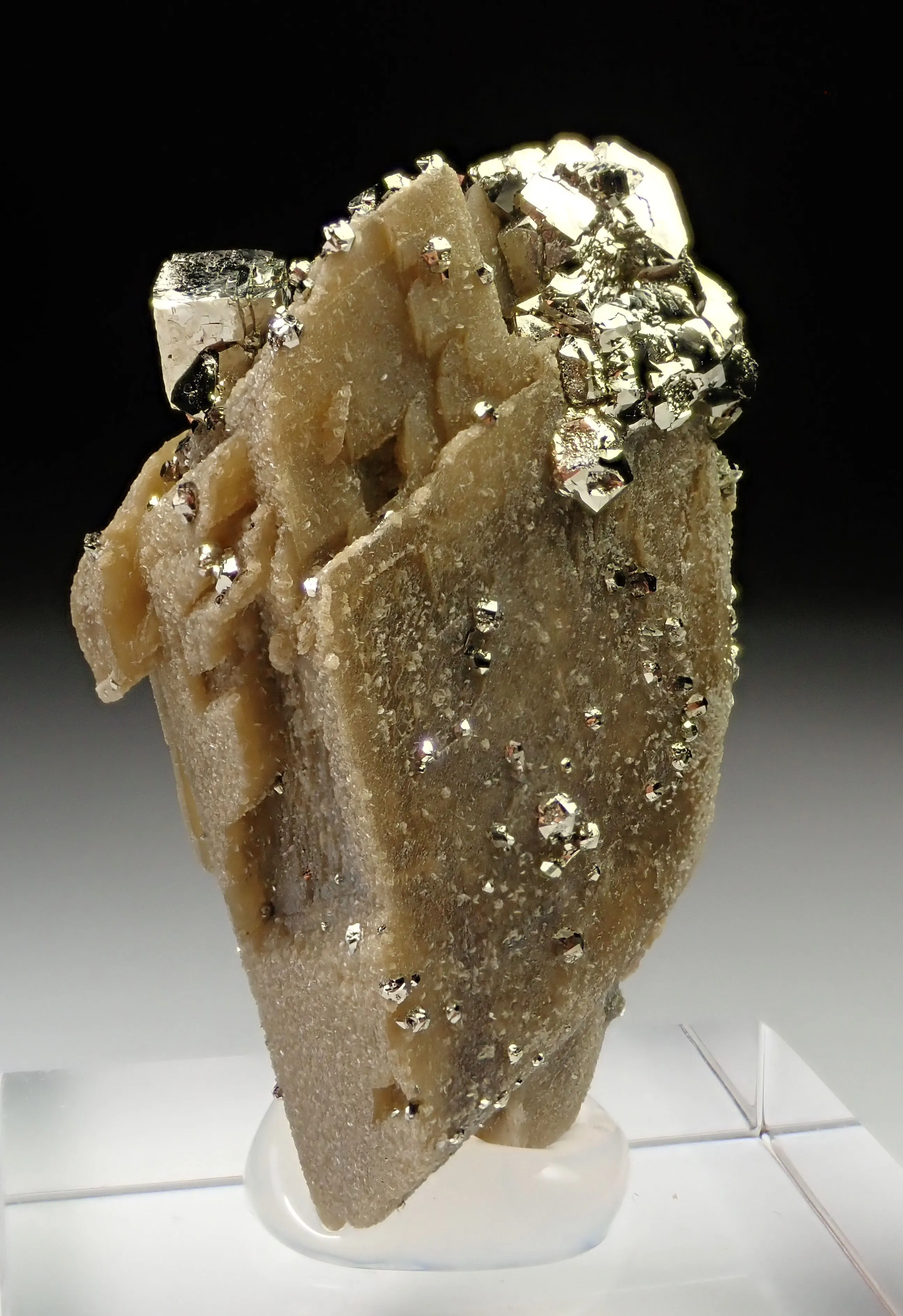Siderite with Pyrite - image 2