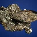 Siderite with Pyrite - image 4
