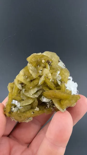 Siderite with Pyrrhotite, Dolomite