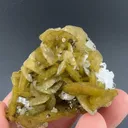 Siderite with Pyrrhotite, Dolomite - image 1