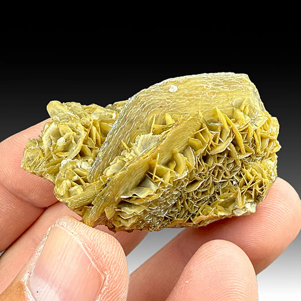 Siderite with Quartz image