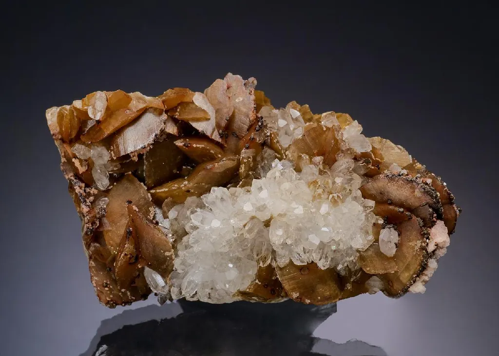 Siderite with Quartz image