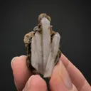 Siderite with Quartz - image 2