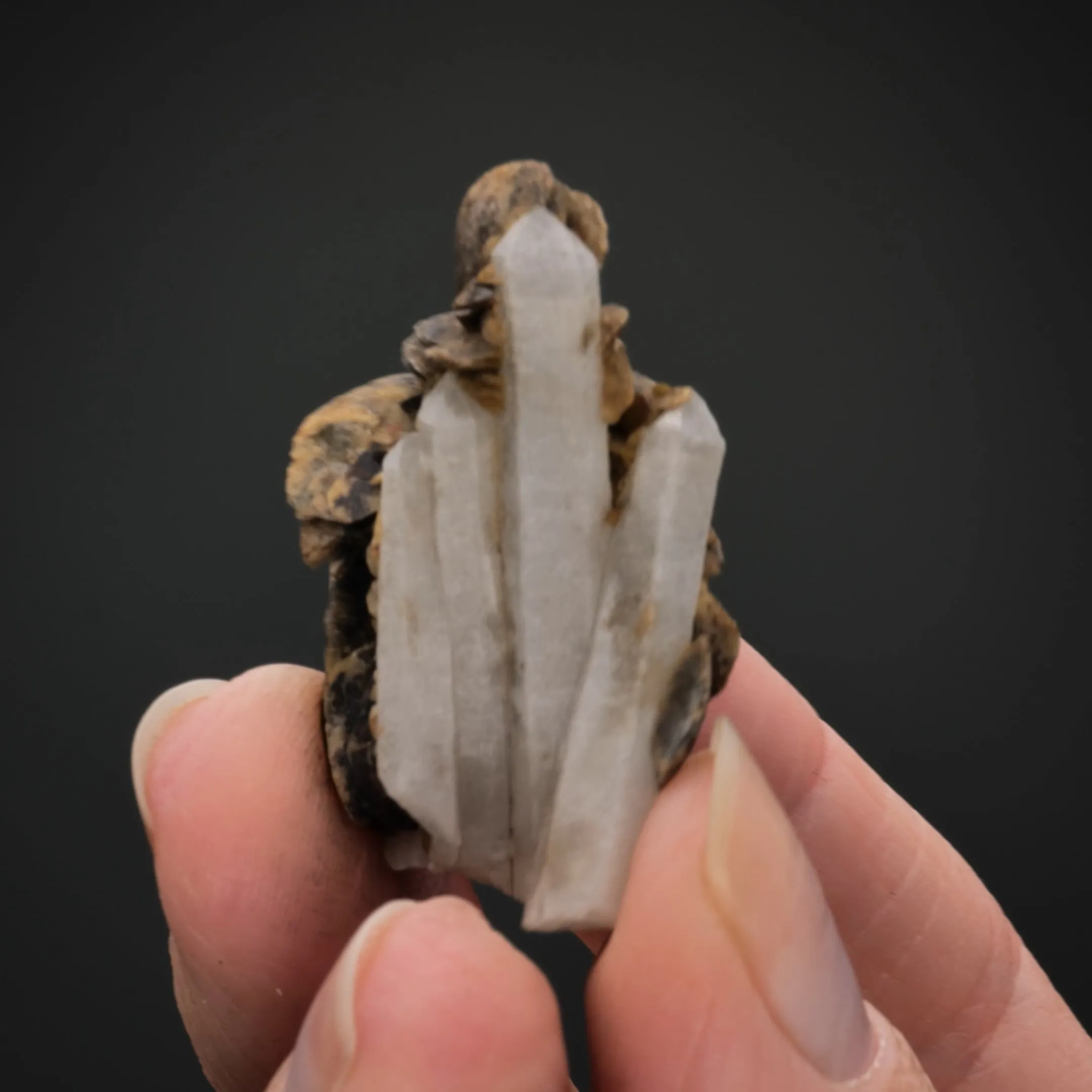 Siderite with Quartz - image 2