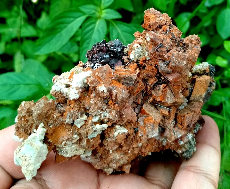 Siderite With Rutile from Pakistan, Gilgit-Baltistan, Skardu District, Shigar Valley - image 2
