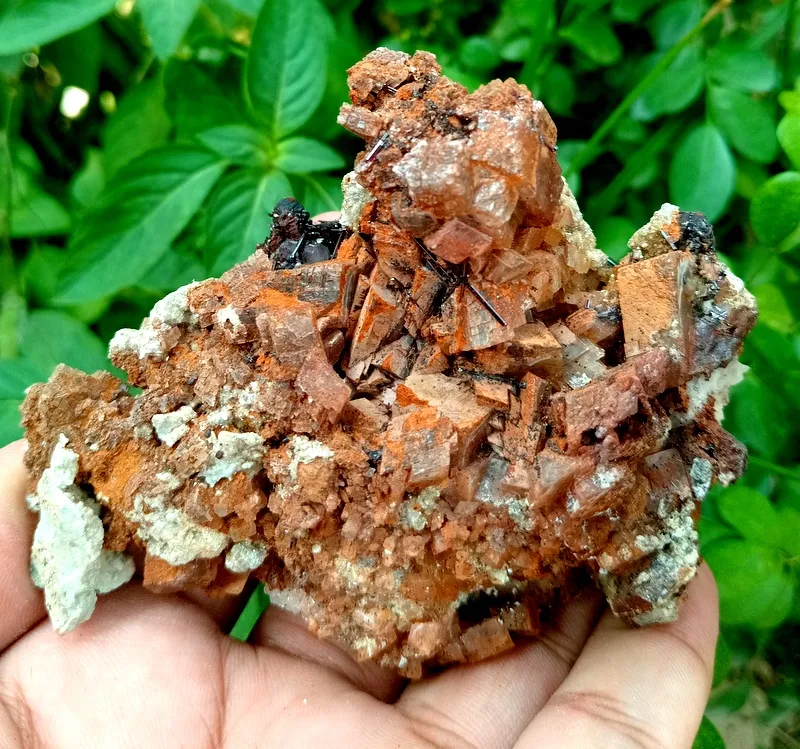 Siderite With Rutile from Pakistan, Gilgit-Baltistan, Skardu District, Shigar Valley - image 6