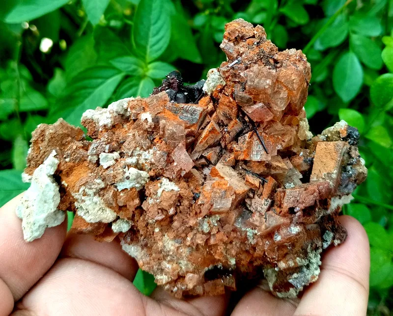 Siderite With Rutile from Pakistan, Gilgit-Baltistan, Skardu District, Shigar Valley image